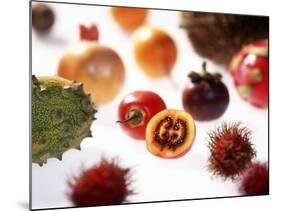 Various Exotic Fruits on a Sheet of Glass-Damir Begovic-Mounted Photographic Print