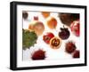 Various Exotic Fruits on a Sheet of Glass-Damir Begovic-Framed Photographic Print