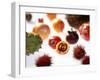 Various Exotic Fruits on a Sheet of Glass-Damir Begovic-Framed Photographic Print