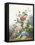 Various Flowers Growing in a Landscape Setting-Antoine Pascal-Framed Stretched Canvas