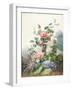 Various Flowers Growing in a Landscape Setting-Antoine Pascal-Framed Giclee Print