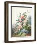 Various Flowers Growing in a Landscape Setting-Antoine Pascal-Framed Giclee Print