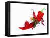 Various Fresh Chilli Peppers on a Picture of a Chilli Pepper-Bodo A^ Schieren-Framed Stretched Canvas