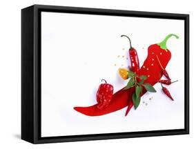 Various Fresh Chilli Peppers on a Picture of a Chilli Pepper-Bodo A^ Schieren-Framed Stretched Canvas