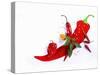 Various Fresh Chilli Peppers on a Picture of a Chilli Pepper-Bodo A^ Schieren-Stretched Canvas