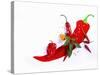 Various Fresh Chilli Peppers on a Picture of a Chilli Pepper-Bodo A^ Schieren-Stretched Canvas