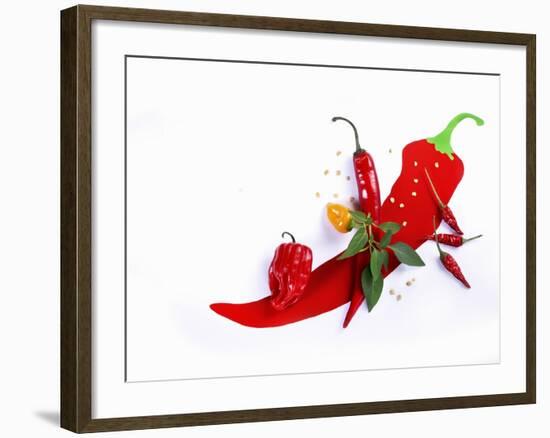 Various Fresh Chilli Peppers on a Picture of a Chilli Pepper-Bodo A^ Schieren-Framed Photographic Print