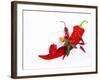 Various Fresh Chilli Peppers on a Picture of a Chilli Pepper-Bodo A^ Schieren-Framed Photographic Print