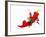 Various Fresh Chilli Peppers on a Picture of a Chilli Pepper-Bodo A^ Schieren-Framed Photographic Print