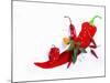 Various Fresh Chilli Peppers on a Picture of a Chilli Pepper-Bodo A^ Schieren-Mounted Photographic Print