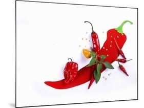 Various Fresh Chilli Peppers on a Picture of a Chilli Pepper-Bodo A^ Schieren-Mounted Photographic Print