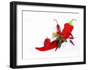 Various Fresh Chilli Peppers on a Picture of a Chilli Pepper-Bodo A^ Schieren-Framed Photographic Print