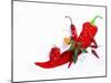 Various Fresh Chilli Peppers on a Picture of a Chilli Pepper-Bodo A^ Schieren-Mounted Photographic Print