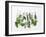 Various Fresh Herbs Hanging Up-Tanya Zouev-Framed Photographic Print