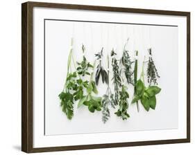 Various Fresh Herbs Hanging Up-Tanya Zouev-Framed Photographic Print