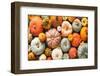 Various Fresh Ripe Pumpkins as Background-AlexRaths-Framed Photographic Print