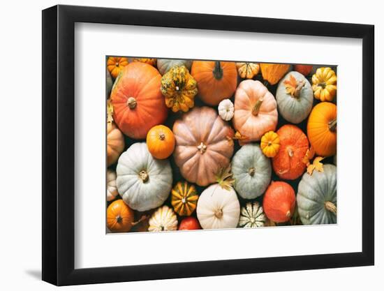 Various Fresh Ripe Pumpkins as Background-AlexRaths-Framed Photographic Print