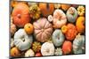 Various Fresh Ripe Pumpkins as Background-AlexRaths-Mounted Photographic Print