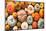 Various Fresh Ripe Pumpkins as Background-AlexRaths-Mounted Photographic Print