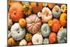 Various Fresh Ripe Pumpkins as Background-AlexRaths-Mounted Photographic Print