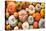 Various Fresh Ripe Pumpkins as Background-AlexRaths-Stretched Canvas