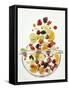 Various Fruits Falling into Glass Bowl-J?rgen Holz-Framed Stretched Canvas