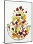 Various Fruits Falling into Glass Bowl-J?rgen Holz-Mounted Premium Photographic Print