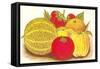 Various Fruits, Illustration-null-Framed Stretched Canvas