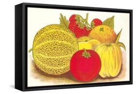 Various Fruits, Illustration-null-Framed Stretched Canvas