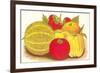 Various Fruits, Illustration-null-Framed Premium Giclee Print