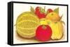 Various Fruits, Illustration-null-Framed Stretched Canvas