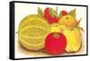 Various Fruits, Illustration-null-Framed Stretched Canvas