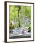 Various Glasses-Roland Krieg-Framed Photographic Print