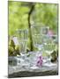 Various Glasses-Roland Krieg-Mounted Photographic Print
