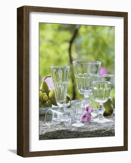 Various Glasses-Roland Krieg-Framed Photographic Print