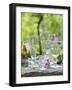 Various Glasses-Roland Krieg-Framed Photographic Print