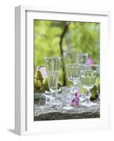 Various Glasses-Roland Krieg-Framed Photographic Print