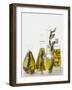 Various Herb and Spice Oils-null-Framed Photographic Print