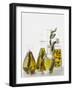 Various Herb and Spice Oils-null-Framed Photographic Print