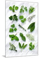 Various Herbs on Marble-Peter Howard Smith-Mounted Premium Photographic Print