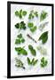 Various Herbs on Marble-Peter Howard Smith-Framed Premium Photographic Print