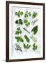 Various Herbs on Marble-Peter Howard Smith-Framed Premium Photographic Print