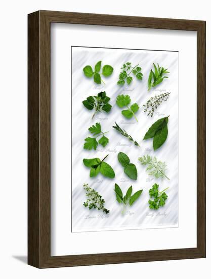 Various Herbs on Marble-Peter Howard Smith-Framed Photographic Print