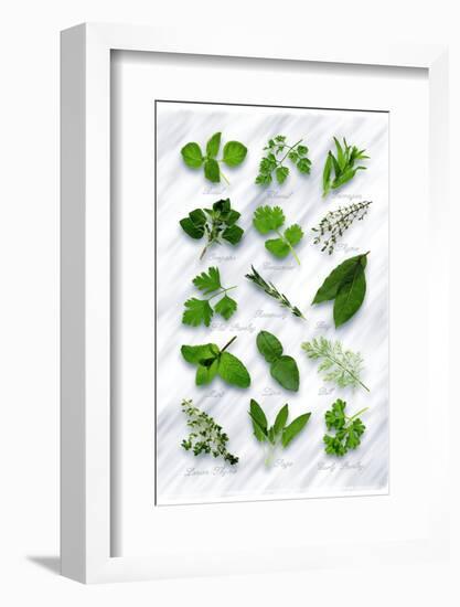 Various Herbs on Marble-Peter Howard Smith-Framed Photographic Print