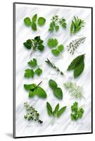 Various Herbs on Marble-Peter Howard Smith-Mounted Photographic Print