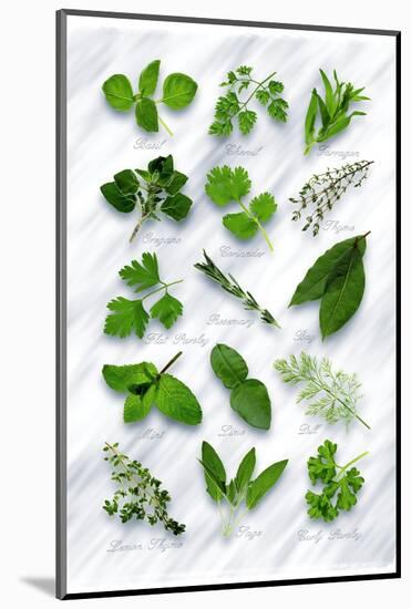 Various Herbs on Marble-Peter Howard Smith-Mounted Photographic Print