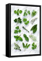 Various Herbs on Marble-Peter Howard Smith-Framed Stretched Canvas