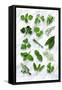 Various Herbs on Marble-Peter Howard Smith-Framed Stretched Canvas