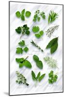 Various Herbs on Marble-Peter Howard Smith-Mounted Photographic Print