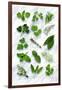 Various Herbs on Marble-Peter Howard Smith-Framed Photographic Print